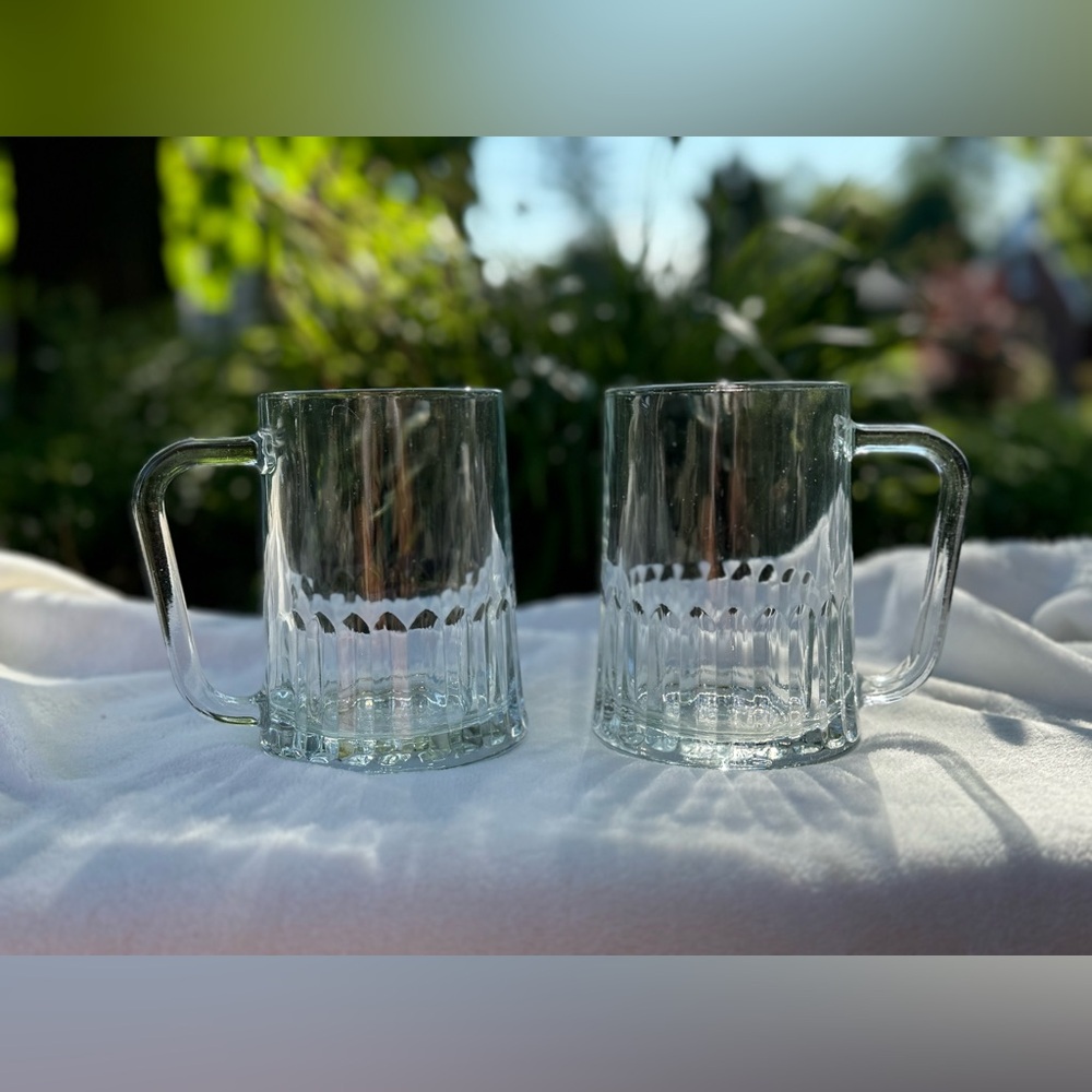 Vintage Tudor Dema Beer Glasses